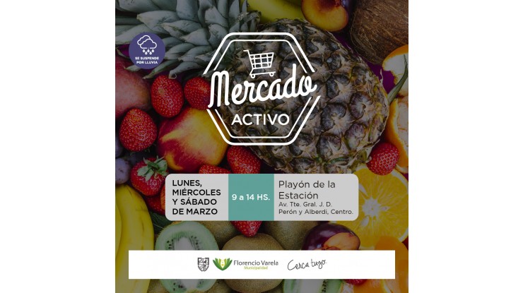 Mercado Activo: productos de calidad, nuevas ofertas y mejores precios 